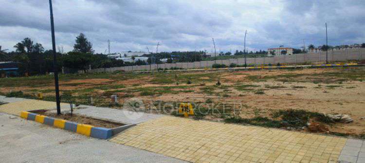Plot For Sale  In Wilder Wood In Ramohalli