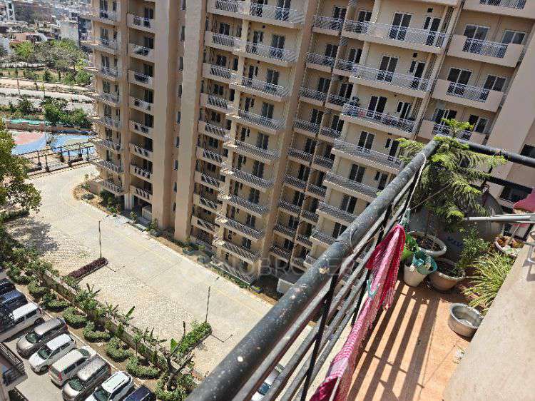 2 BHK Flat In Lotus Homz for Rent  In Sector 111