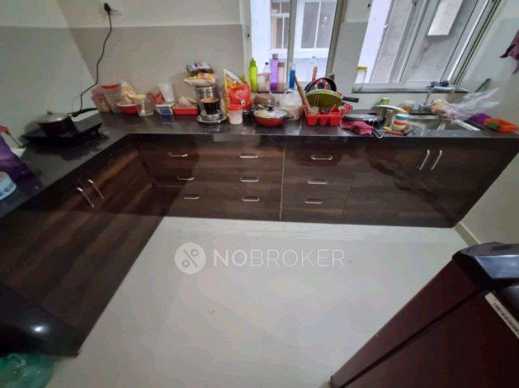 1 BHK Flat In Megapolis Saffron  for Rent  In Hinjawadi