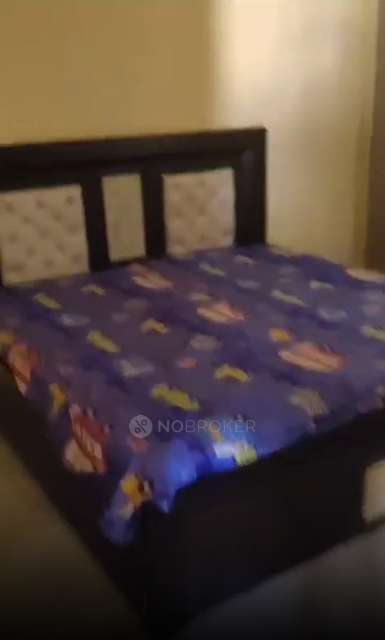 2 BHK Flat In Apex Our Homes for Rent  In Sector 37c