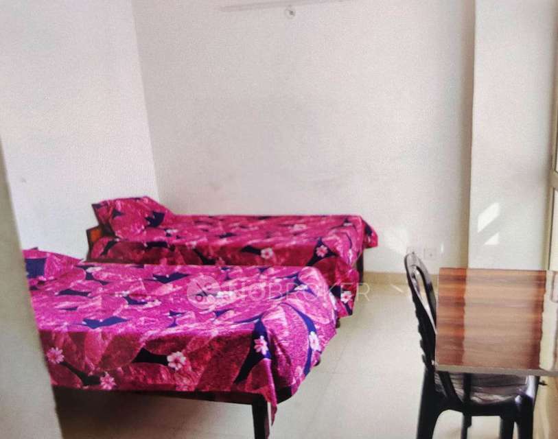 PG for Anyone in Sector 17a