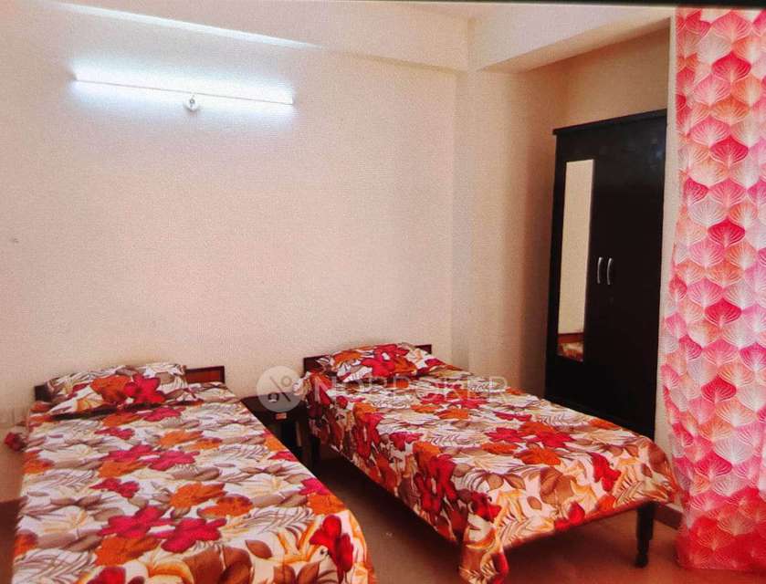 PG for Anyone in Sector 17a