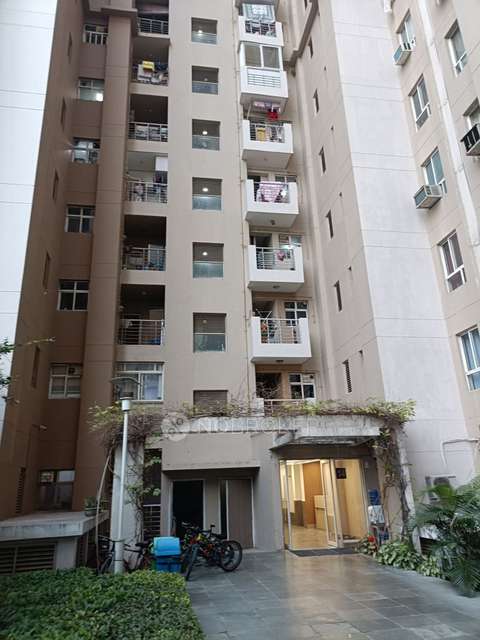 3 BHK Flat In 3c, Sector 100 For Sale  In Sector 100