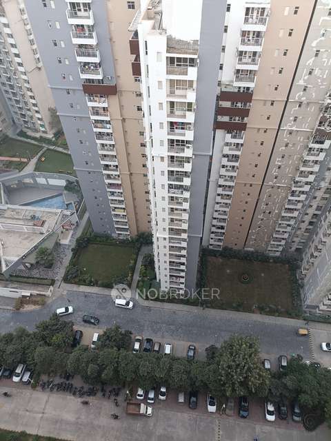 3 BHK Flat In 3c, Sector 100 For Sale  In Sector 100