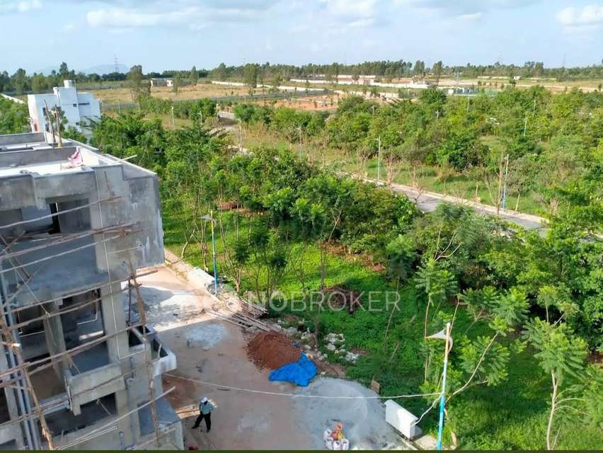 Plot For Sale  In Bird Of Paradise (bop) In Devanahalli