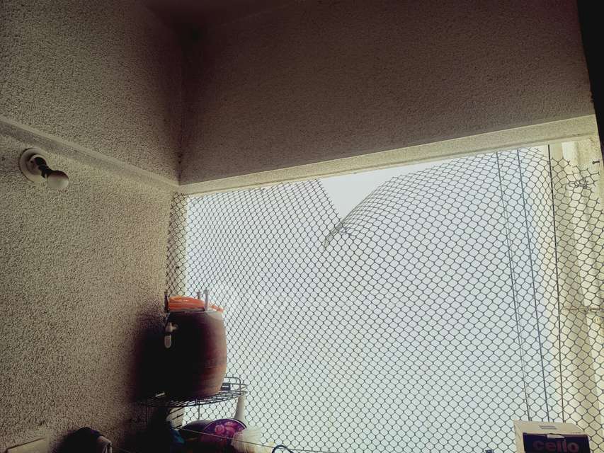 1 BHK Flat In Regalia Residency For Sale  In Bavdhan