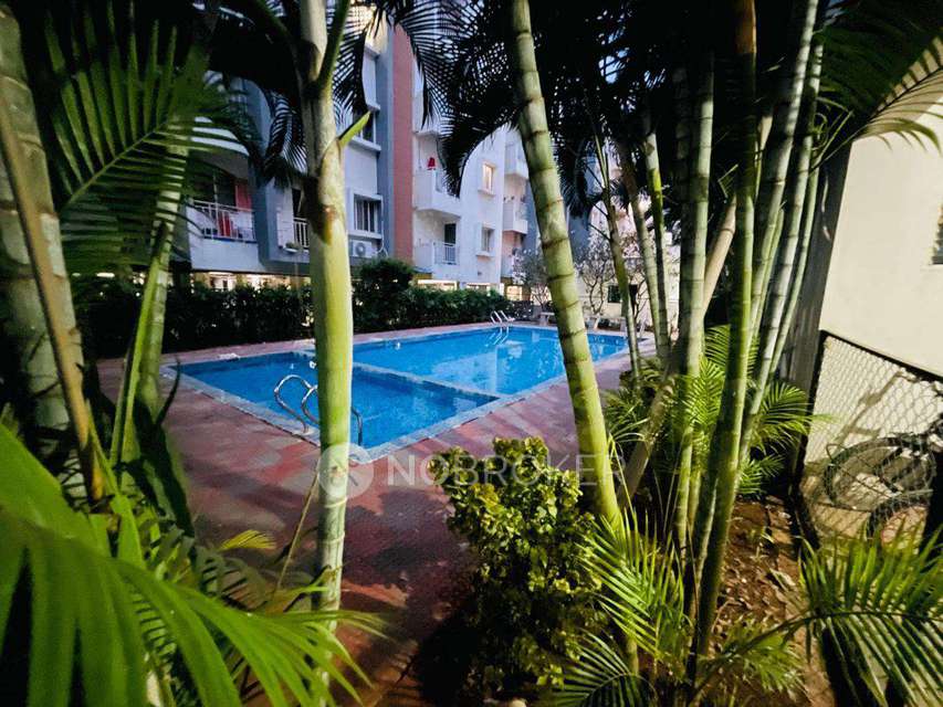 3 BHK Flat In Purnima Elite For Sale  In Purnima Elite