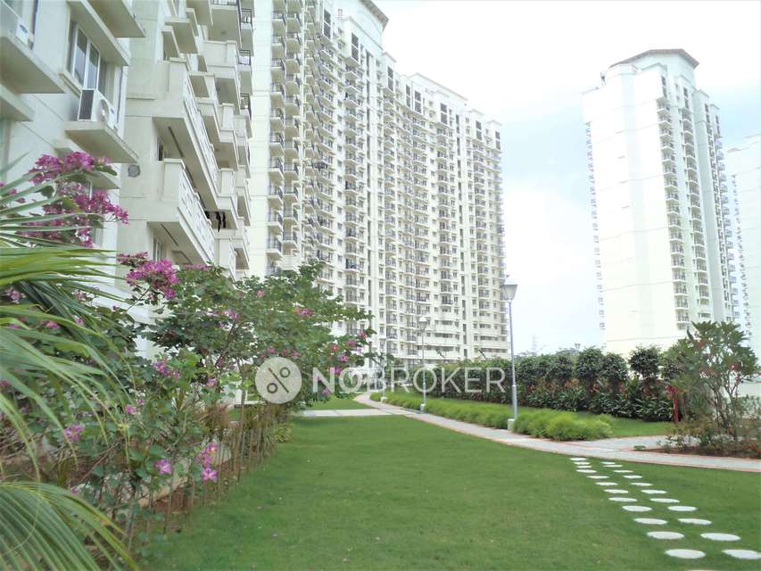 3 BHK Flat In Dlf New Town Heights -ii For Sale  In Sector 91
