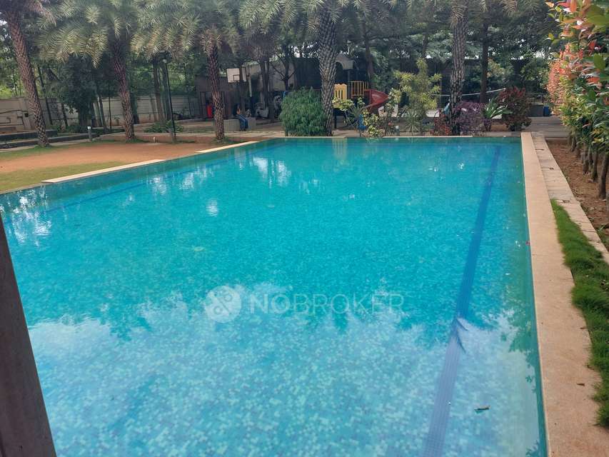 3 BHK Flat In Mana Karmel For Sale  In Sarjapur