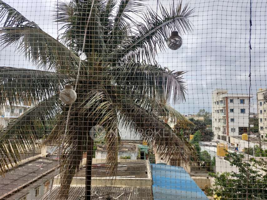 3 BHK Flat In Mana Karmel For Sale  In Sarjapur