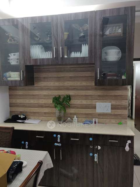 3 BHK Flat In Gulshan Ikebana, Sector 143 For Sale  In Gulshan Ikebana