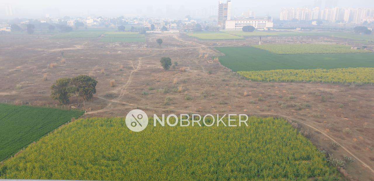 2 BHK Flat In Microtek Greenburg For Sale  In Sector 86