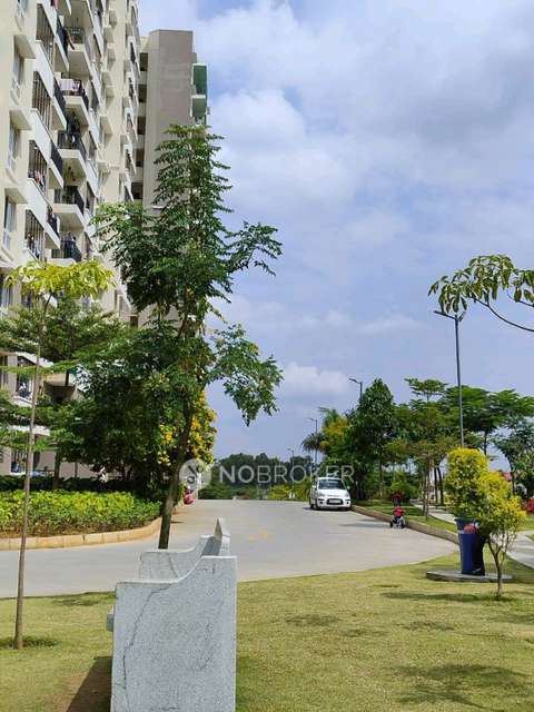 1 BHK Flat In Sushmna Kuteeram for Rent  In Electronic City