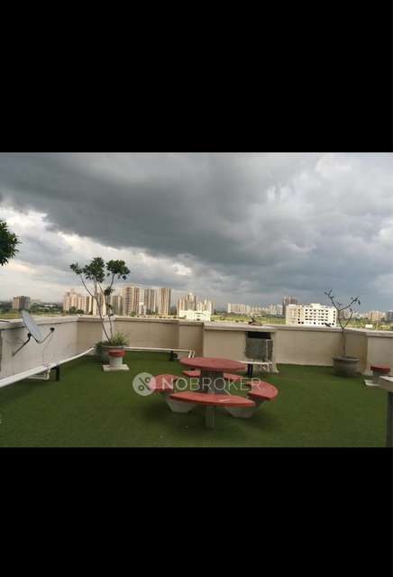 3 BHK Flat In Spaze Privy For Sale  In Sector 93