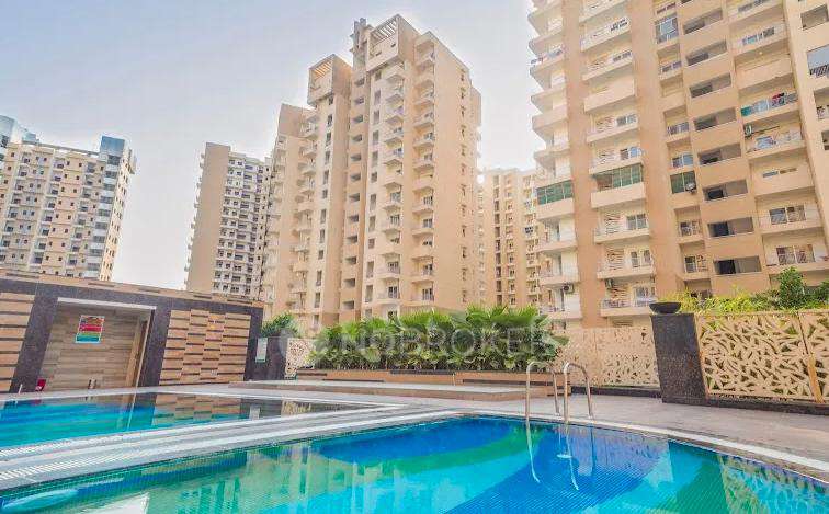 Single Room for Male In 3 BHK  In Ajnara Daffodil In Sector 137