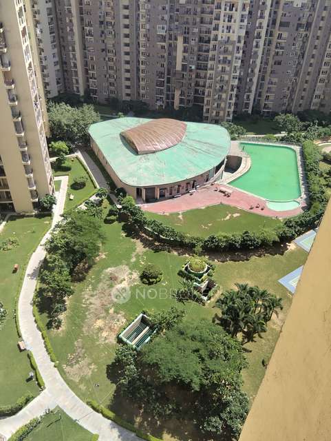 3 BHK Flat In Gulshan Vivante For Sale  In Sector 137