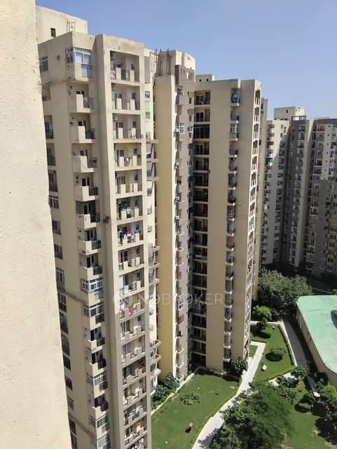 3 BHK Flat In Gulshan Vivante For Sale  In Sector 137