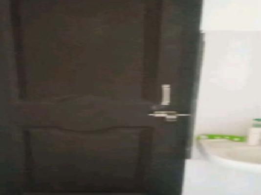 1 BHK Flat In Space Shrushti Homes For Sale  In Wadmukhwadi