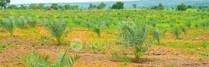 Plot For Sale  In Sampangi Agri Estates In B1-49, Huda Colony, Chanda Nagar, Hyderabad, Telangana 500050, India