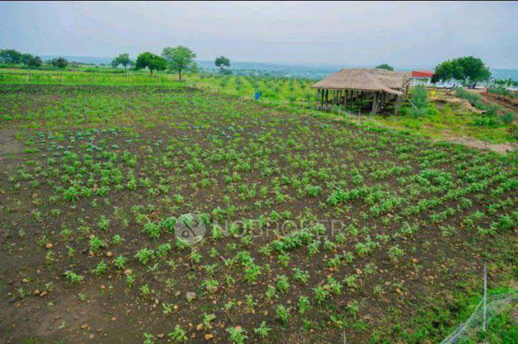 Plot For Sale  In Sampangi Agri Estates In B1-49, Huda Colony, Chanda Nagar, Hyderabad, Telangana 500050, India