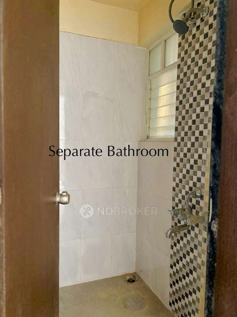 1 BHK Flat In Majestique Magnum For Sale  In Pisoli