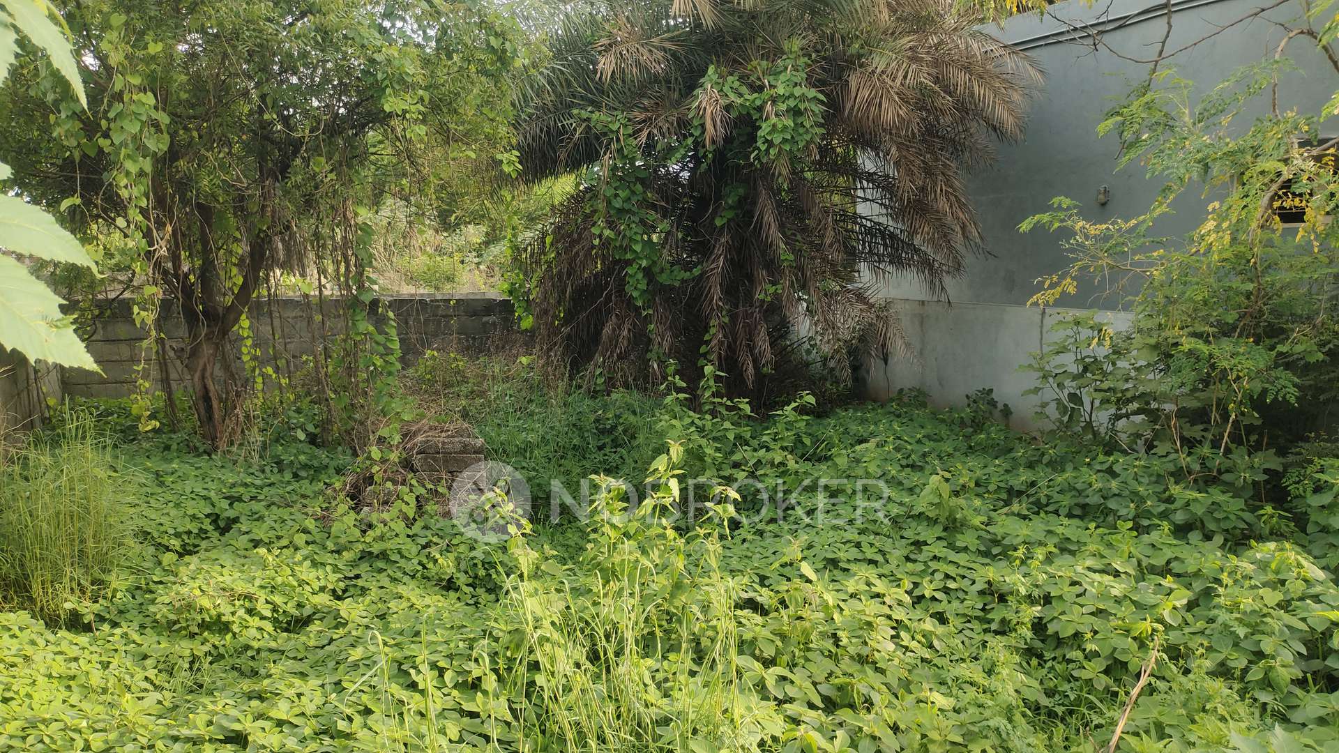 Plot For Sale  In Battarahalli