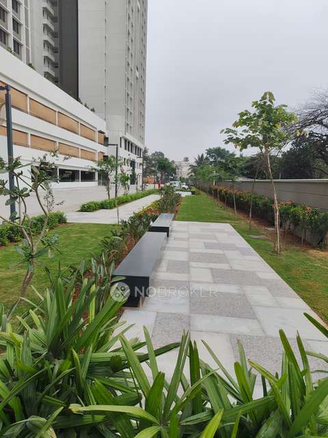 3 BHK Flat In Sobha Manhattan - Oc Receivedpossession Taken For Sale  In Electronic City