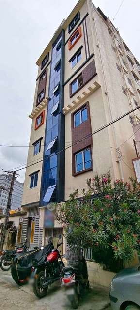 PG for Anyone in Electronic City 