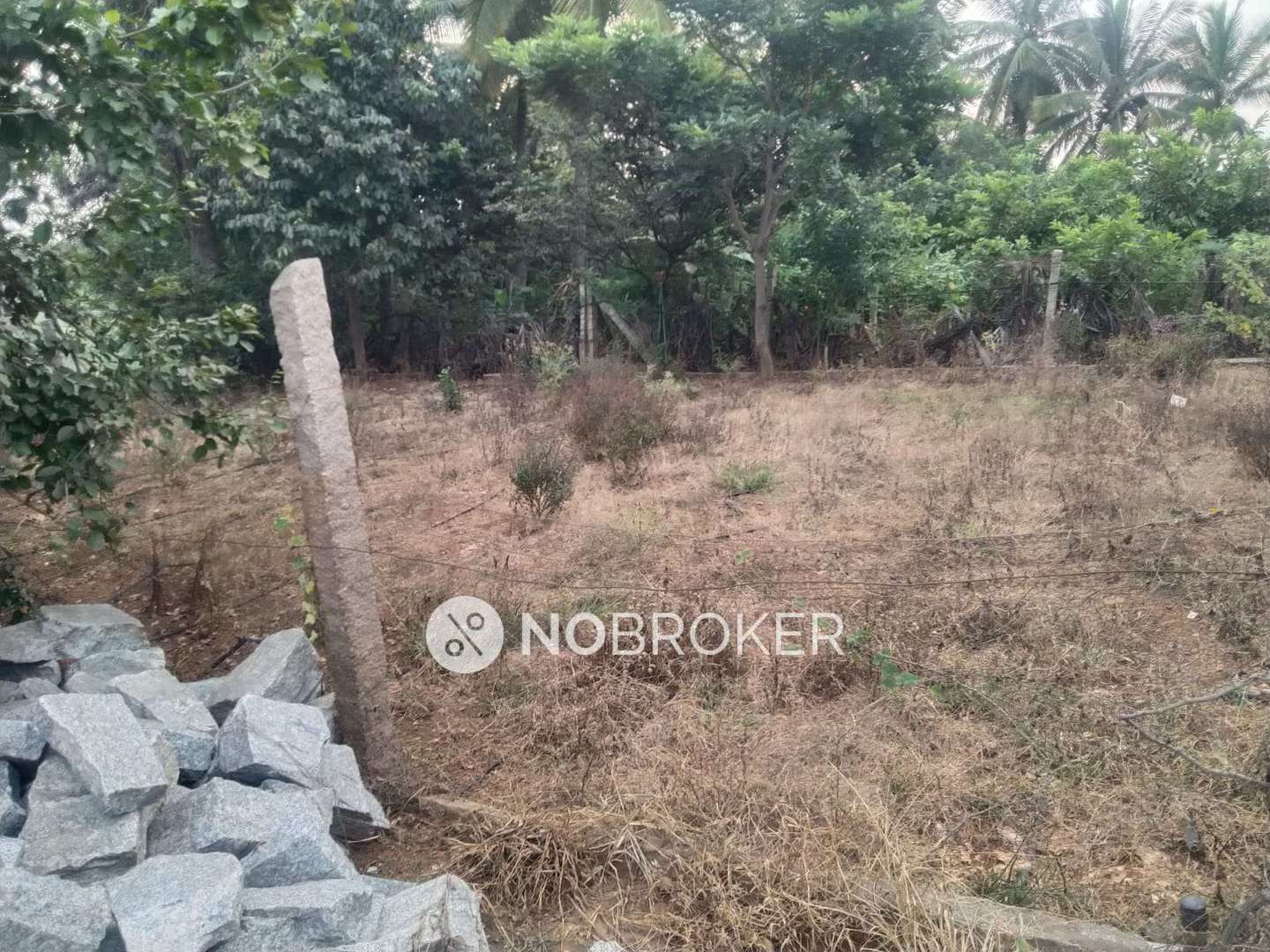 Plot For Sale  In Hoskote