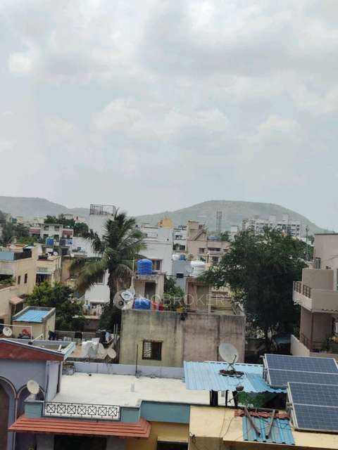 3 BHK Flat In Skyrise Sparkle for Rent  In Skyrise Sparkle