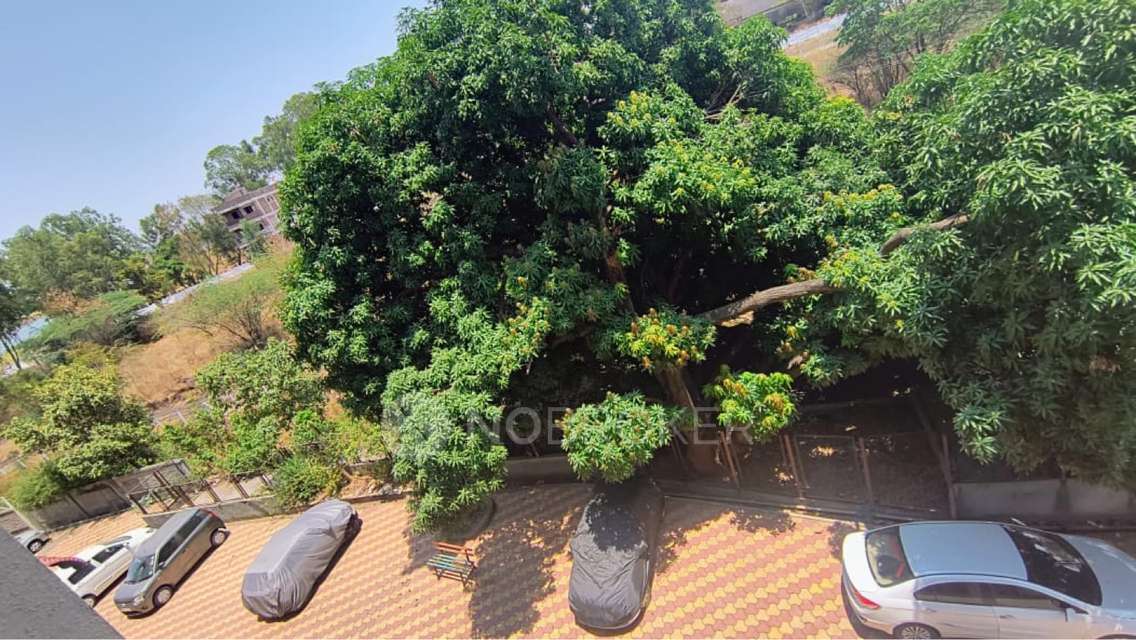 1 BHK Flat In Phoenix Ribereno For Sale  In Shirwal