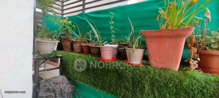 4 BHK Flat In Mahadev Apartments Sector 23b Dwarka For Sale  In 6a6, Pocket-8, Sector 23b, Dwarka, New Delhi, Delhi, 110077, India