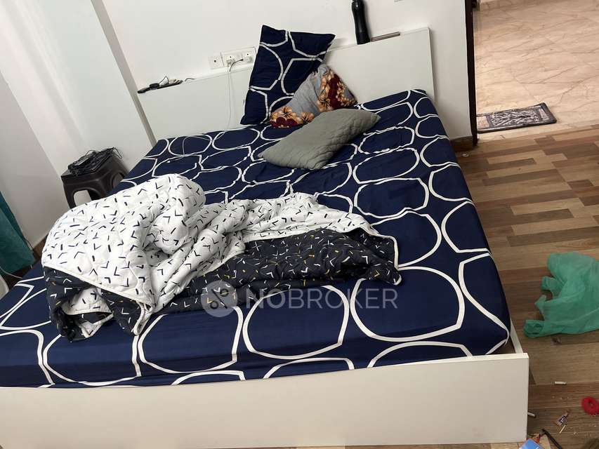 Single Room for Male In 3 BHK  In Aarcity Regency Park In Sector 16c