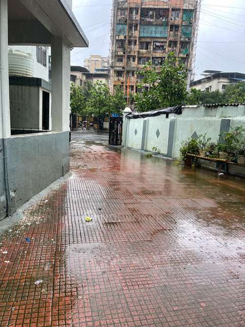 1 BHK Flat In Shree Vardhaman Nagar Building 2 For Sale  In Bhayandar East