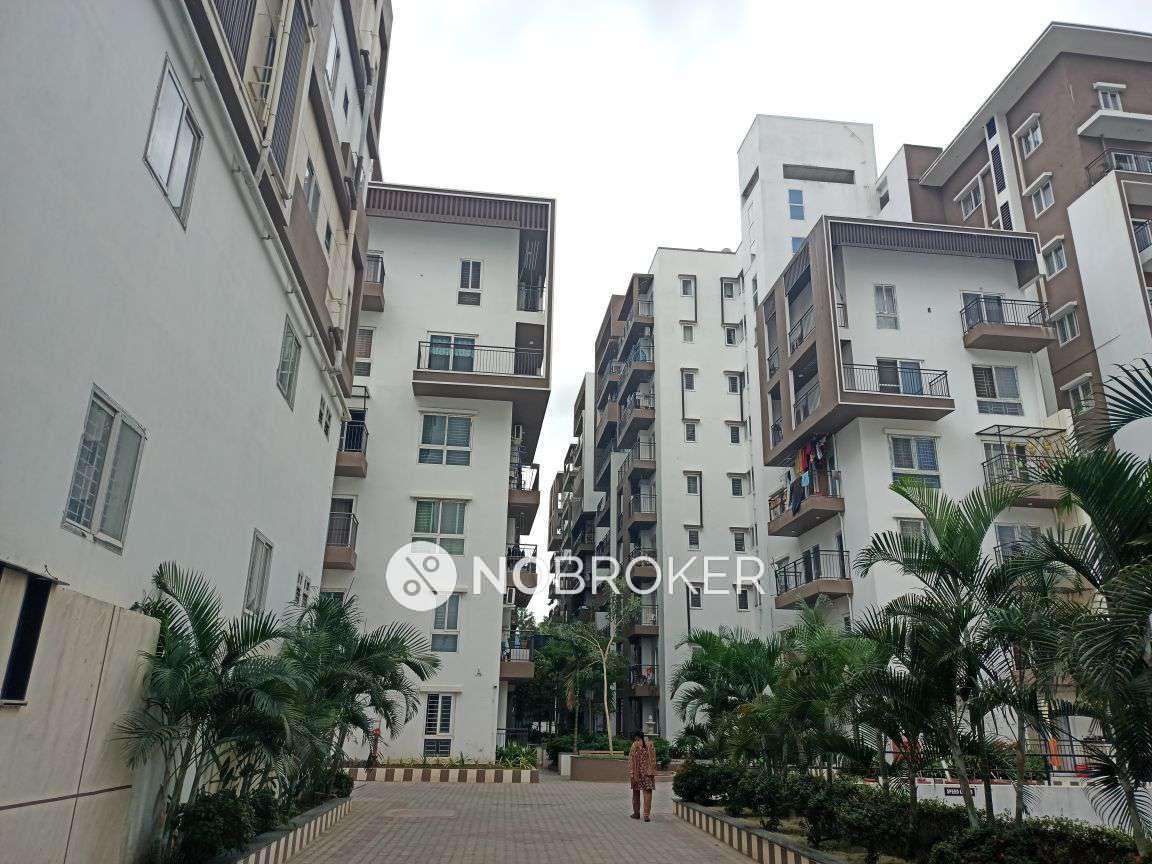 Estella Maple Square