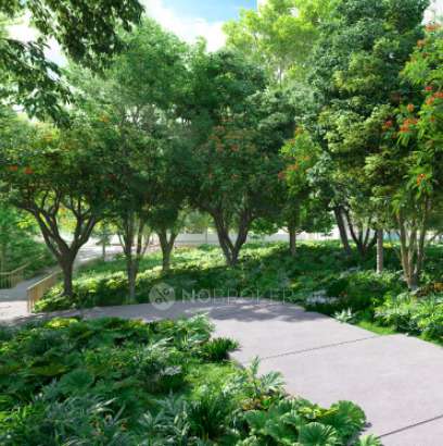 4+ BHK Flat In Lodha Massimo For Sale  In Baner