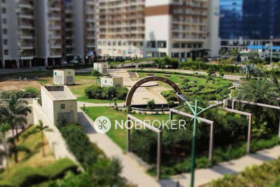 3 BHK Flat In Supertech Ecocity For Sale  In Sector 137