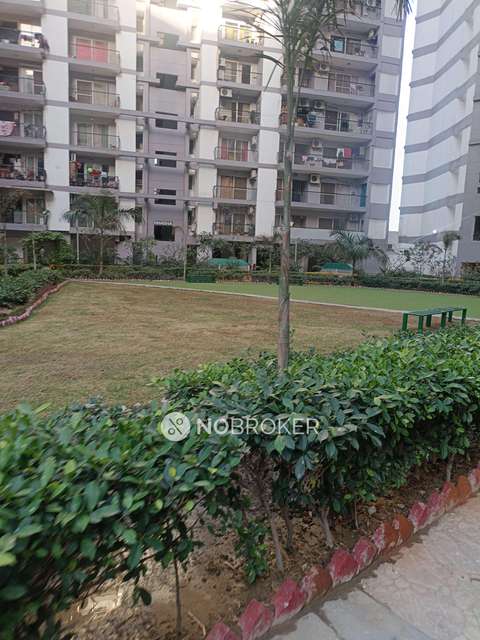 4+ BHK Flat In Amrapali Princely Estate For Sale  In Sector 76
