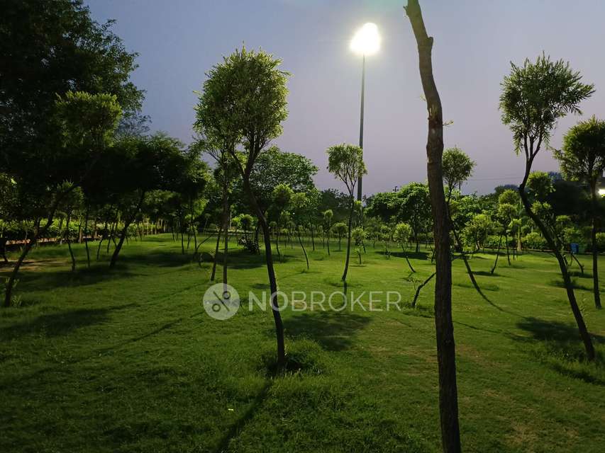 1 RK Flat In Green View Apartment for Rent  In Sector 99