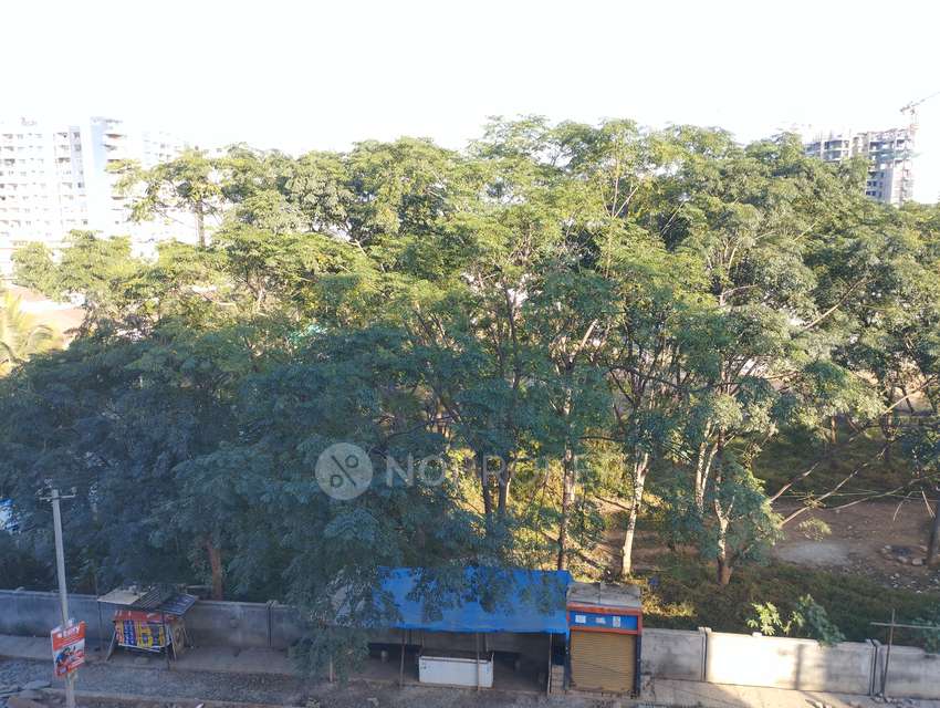 2 BHK Flat In Ss Samrudhi for Rent  In Whitefield