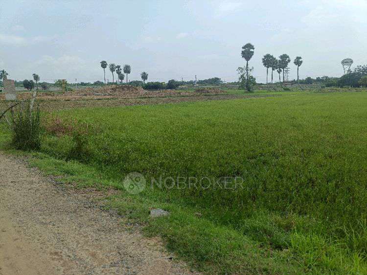 Plot For Sale  In Malai Pattu, Somangalam, Tamil Nadu 601301, India