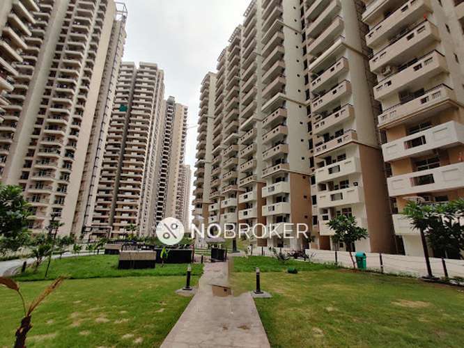 3 BHK Flat In 5th Avenue Gaur City for Rent  In Sector 4