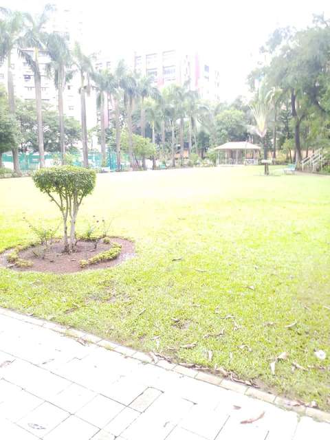 3 BHK Flat In Jal Vayu Vihar Apartments, Powai for Rent  In  Powai