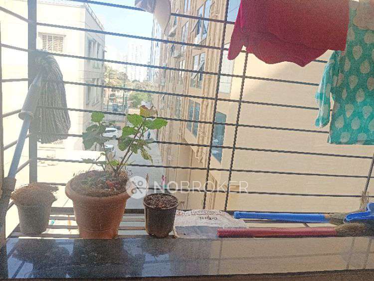 Shared Room for Female In 1 BHK  In Standalone Building  In  Kharadi