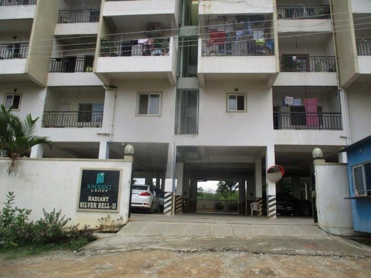 Radiant Silver Bell 2