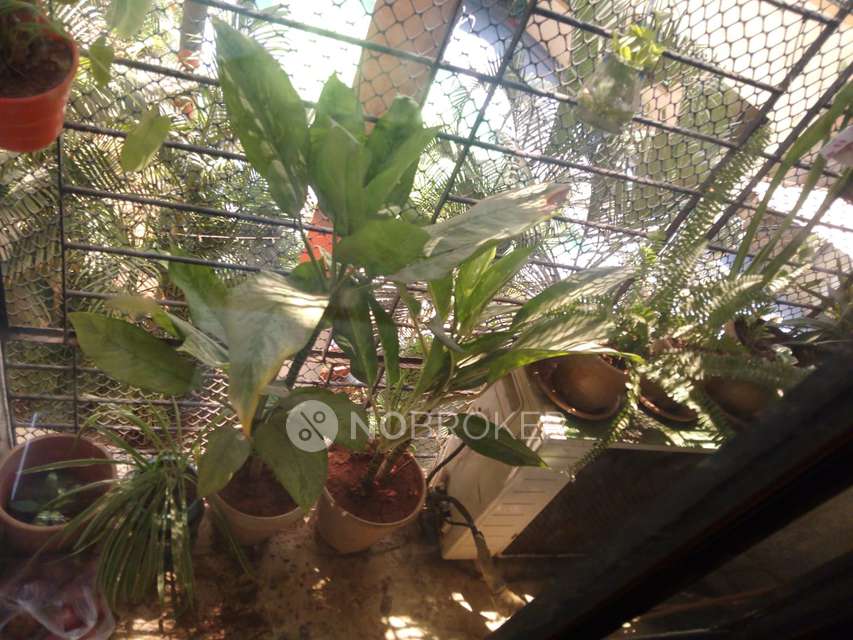 3 BHK Flat In Vrindavan Paradise For Sale  In Khadakpada