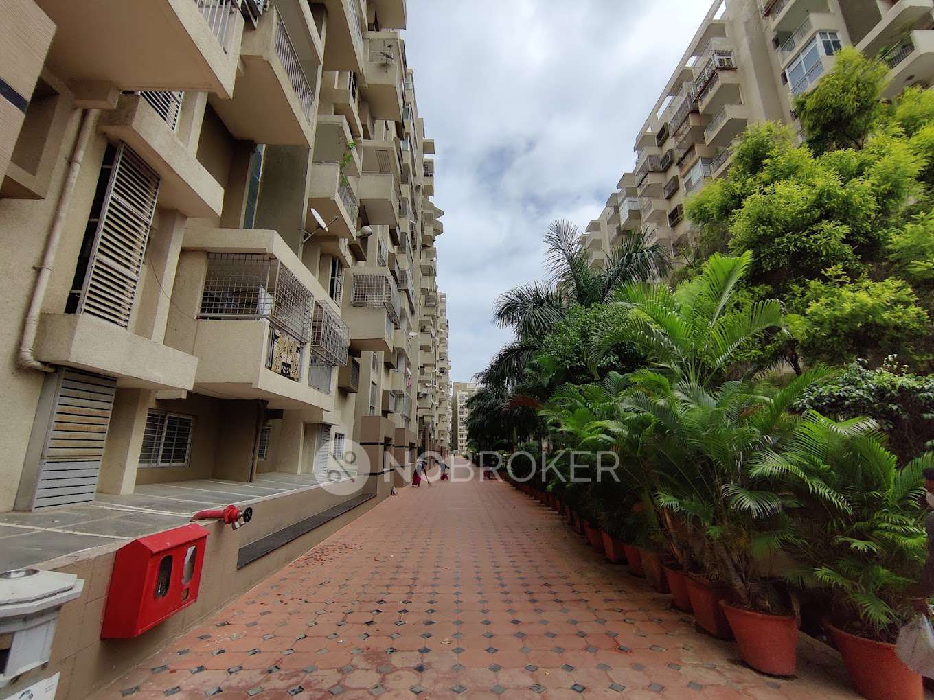 Alpine Eco Apartment Doddanekundi Rent WITHOUT BROKERAGE Semi