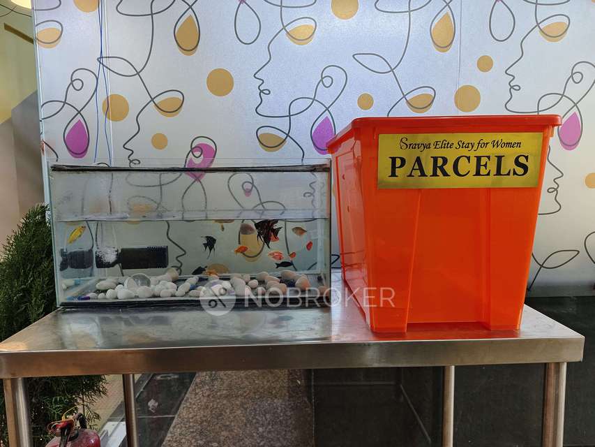 PG for Girls in Madhapur