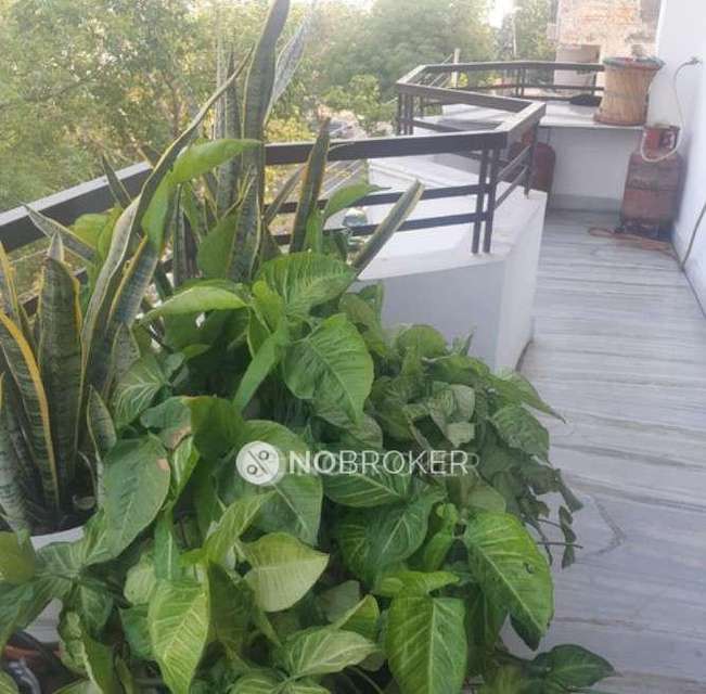 3 BHK Flat For Sale  In Sector 43