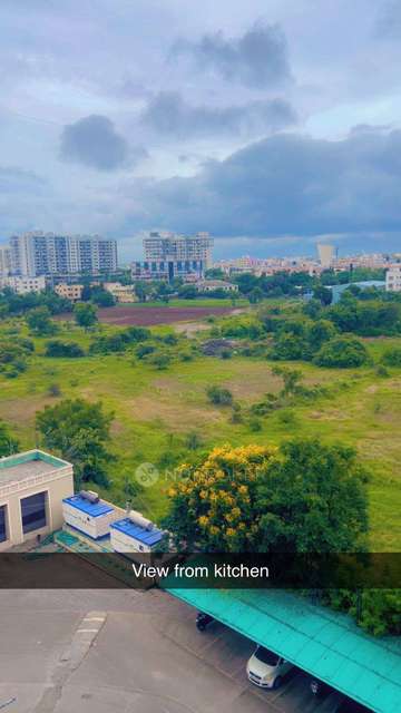 1 BHK Flat In Nyati Elan for Rent  In Wagholi